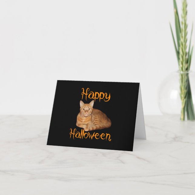 Happy Halloween Non-Scary Orange Tabby Cat Card (Front)