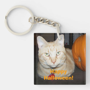 Happy Halloween Orange Tabby Cat With Pumpkin Keychain