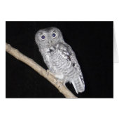 Happy Halloween Owl Card (Front Horizontal)