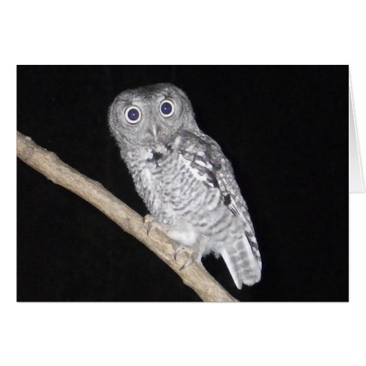 Happy Halloween Owl Card (Front Horizontal)