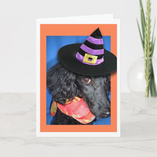 Happy Halloween Party Hat Poodle Card (Front)