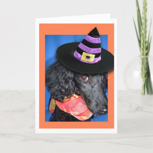 Happy Halloween Party Hat Poodle Card