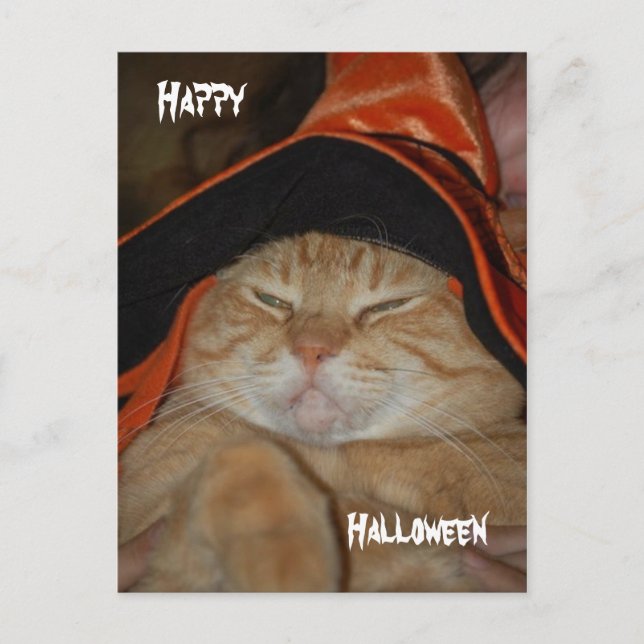 Happy Halloween-Post Card (Front)