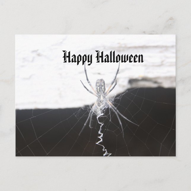 Happy Halloween Postcard (Front)