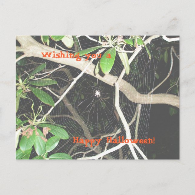 Happy Halloween! Postcard (Front)
