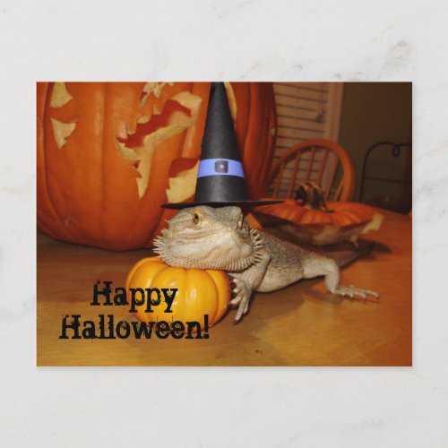 Happy Halloween Postcard