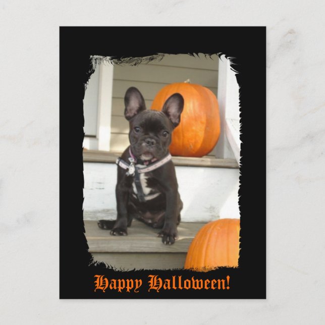 Happy Halloween! Postcard (Front)