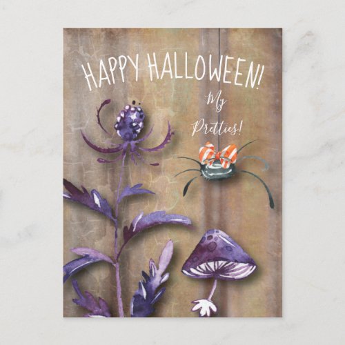 Happy Halloween Pretty Spider Black Cat Postcard