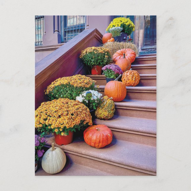 Happy Halloween Pumpkin Stairs New York Postcard (Front)