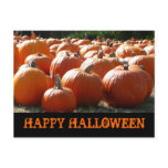 Happy Halloween Pumpkins Card