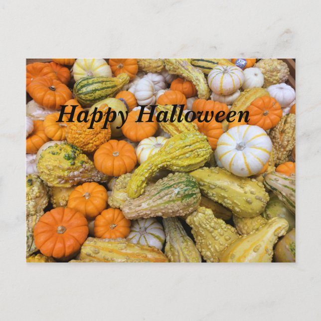 Happy Halloween Pumpkins Postcard (Front)