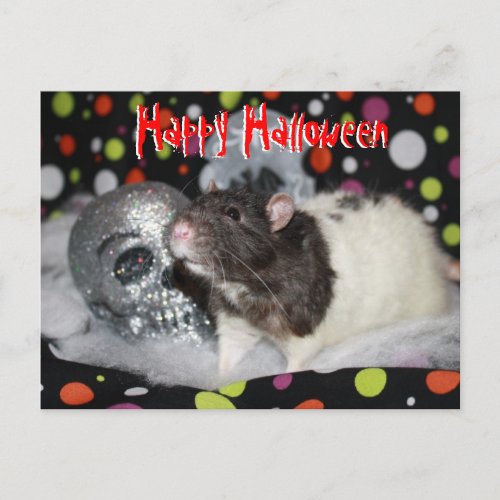 Happy Halloween _ Rat Postcar Postcard