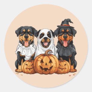Happy Halloween Rottweiler Dogs Jack O Lantern Classic Round Sticker