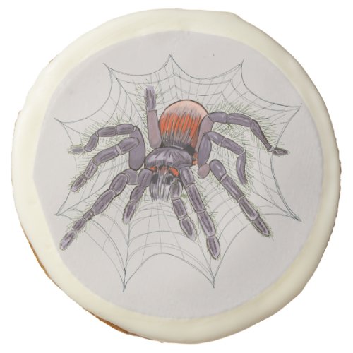 Happy Halloween Spider Creepy Fun  Sugar Cookie