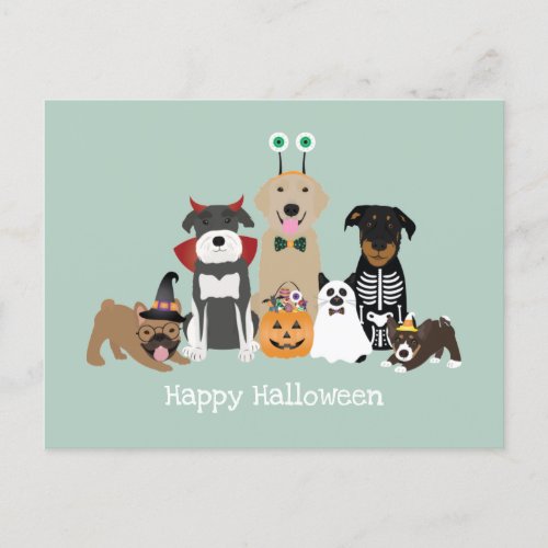 Happy Halloween Spooky Pet Costumes Postcard