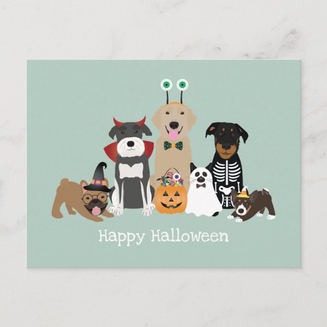 Happy Halloween Spooky Pet Costumes Postcard (Front)