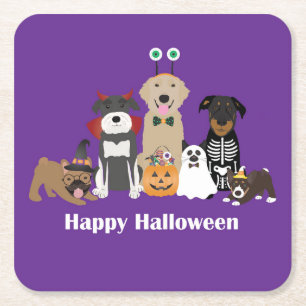 Happy Halloween Spooky Pet Costumes Square Paper Coaster