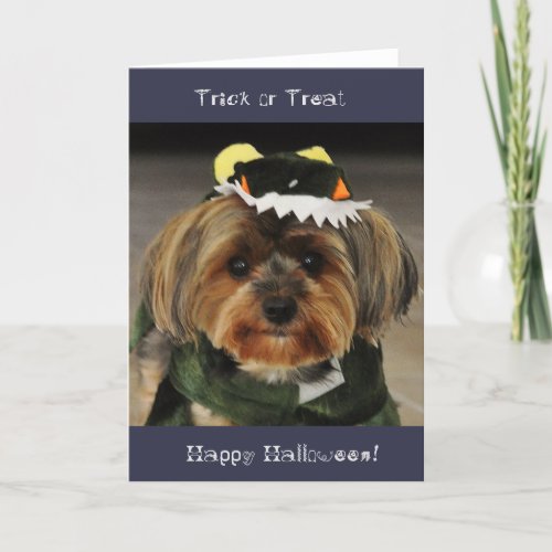 Happy Halloween Trick or Treat Yorkshire terrier Card