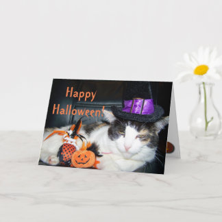 Happy Halloween Witch Cat Card