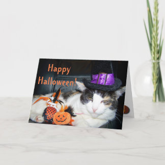 Happy Halloween Witch Cat Card