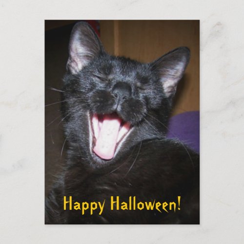 Happy Halloween Yawn Black Cat Postcard