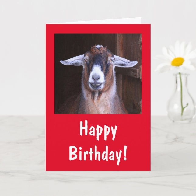 Happy Handsome Goat Birthday Card (Small Plant)