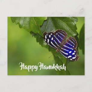 Happy Hanukkah blue and white butterfly Holiday Postcard