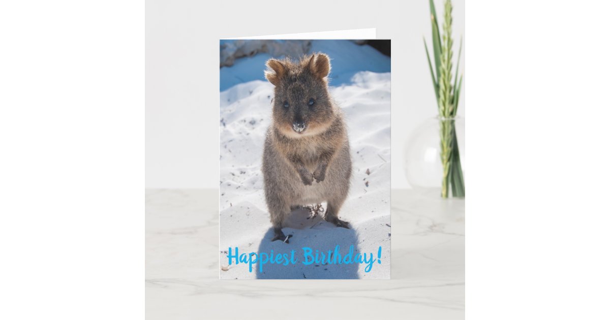 Happy Happiest Birthday Quokka Card | Zazzle