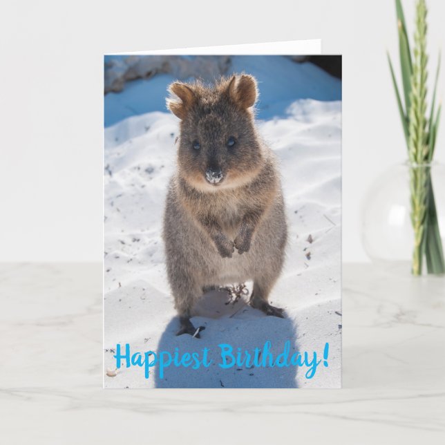 Happy Happiest Birthday Quokka Card (Front)