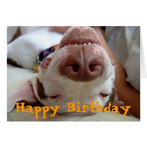 Happy Happy Birthday Greeting Card