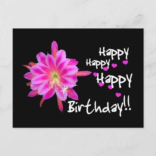 Happy Happy Happy Birthday - Pink Tropical Flower Postcard (Front)