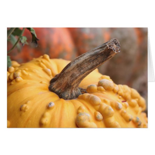 Happy Harvest! (Front Horizontal)