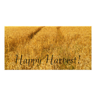 Happy Harvest! Card