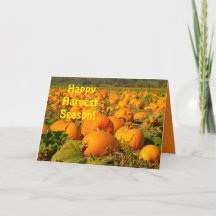 Happy Harvest Season, Pumpkin Patch Scene Greeting