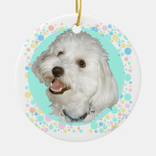 Happy Havanese Ceramic Ornament
