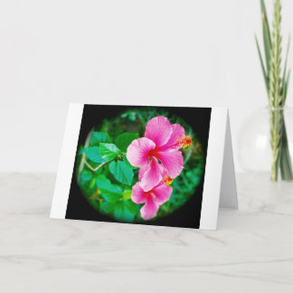 Happy Hibiscus All-Occasion greeting card