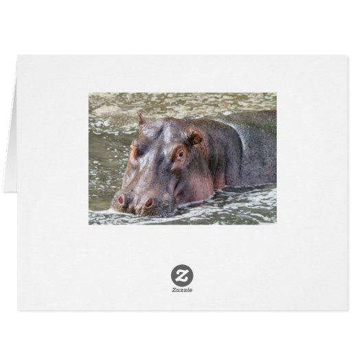 Happy Hippo (Back Horizontal)