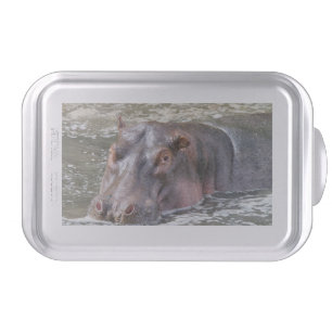 Happy Hippo Cake Pan