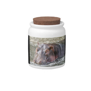 Happy Hippo Candy Jar