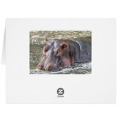 Happy Hippo Cards (Back Horizontal)