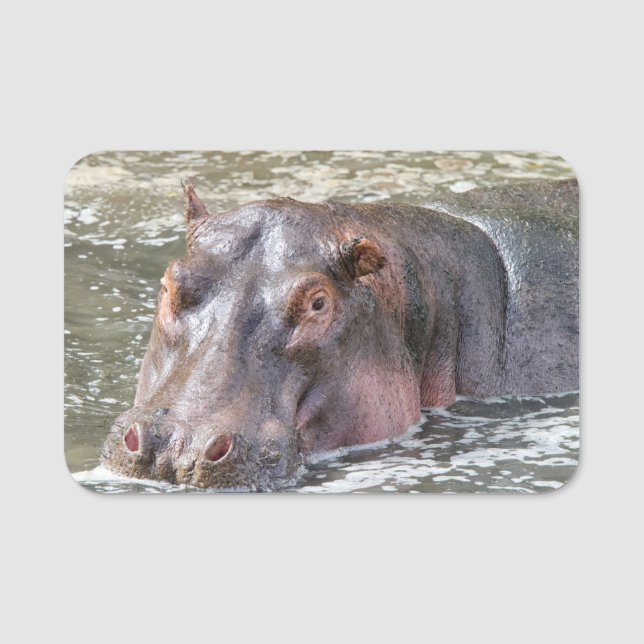 Happy Hippo Name Tag (Front)