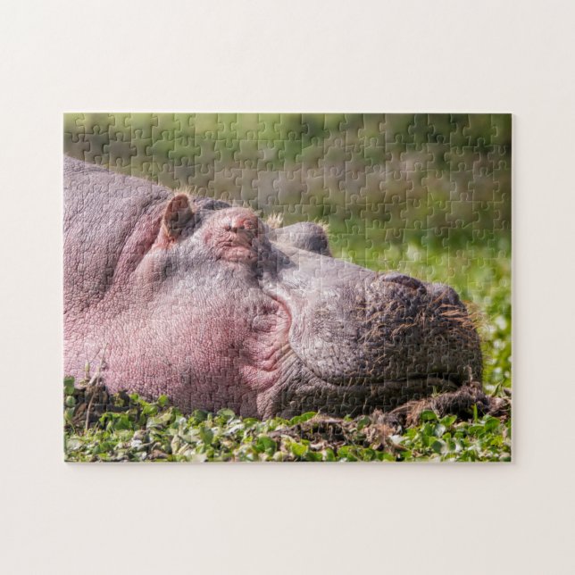 Happy Hippo Puzzle (Horizontal)