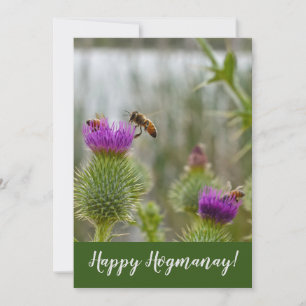 Happy Hogmanay Scottish Thistle Honey Bees Holiday Card