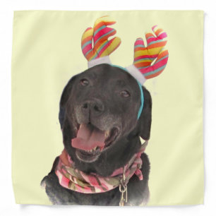 Happy Holiday Black Labrador Retriever Dog Bandana