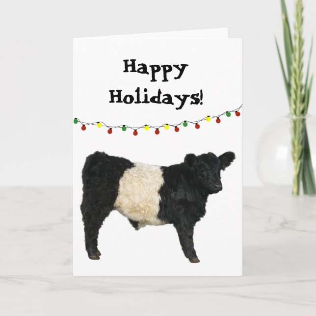 Happy Holiday Christmas Belted Galloway Beltie Cow Card (Front)