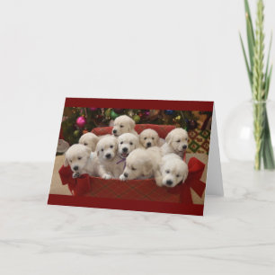 Happy Holiday Golden Retriever puppies Card