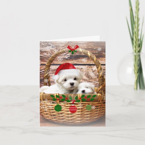 Happy Holidays Adorable Maltese Puppies Holiday Card