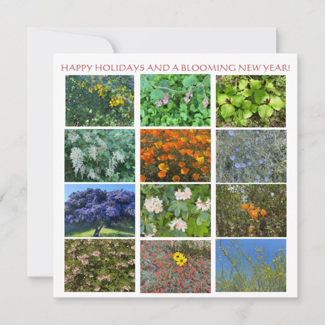 HAPPY HOLIDAYS AND A BLOOMING NEW YEAR! NOTE CARD (Front)