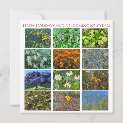 HAPPY HOLIDAYS AND A BLOOMING NEW YEAR NOTE CARD
