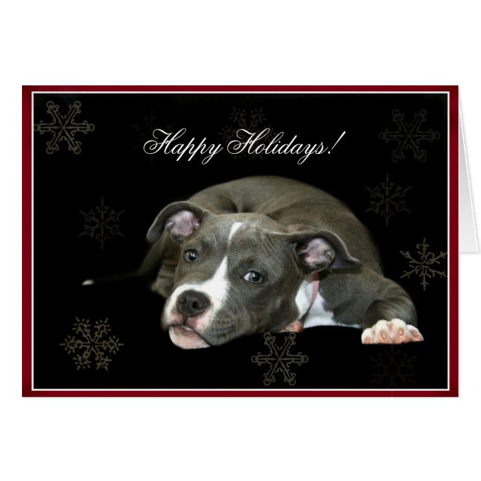 Happy Holidays Blue Pitbull puppy Greeting Card